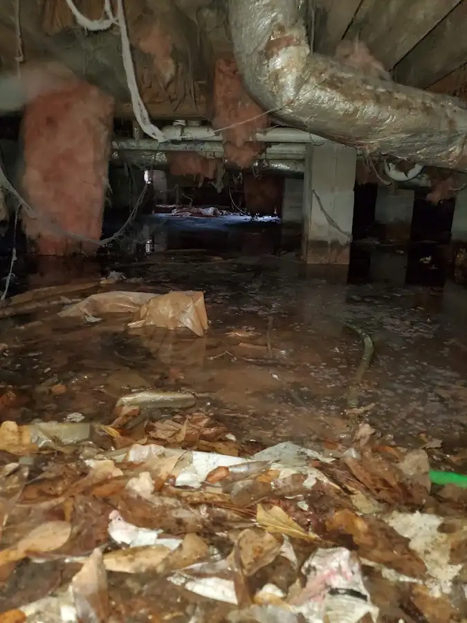 Crawl space flood assessment for Leak Detection & Repair in Clarksville